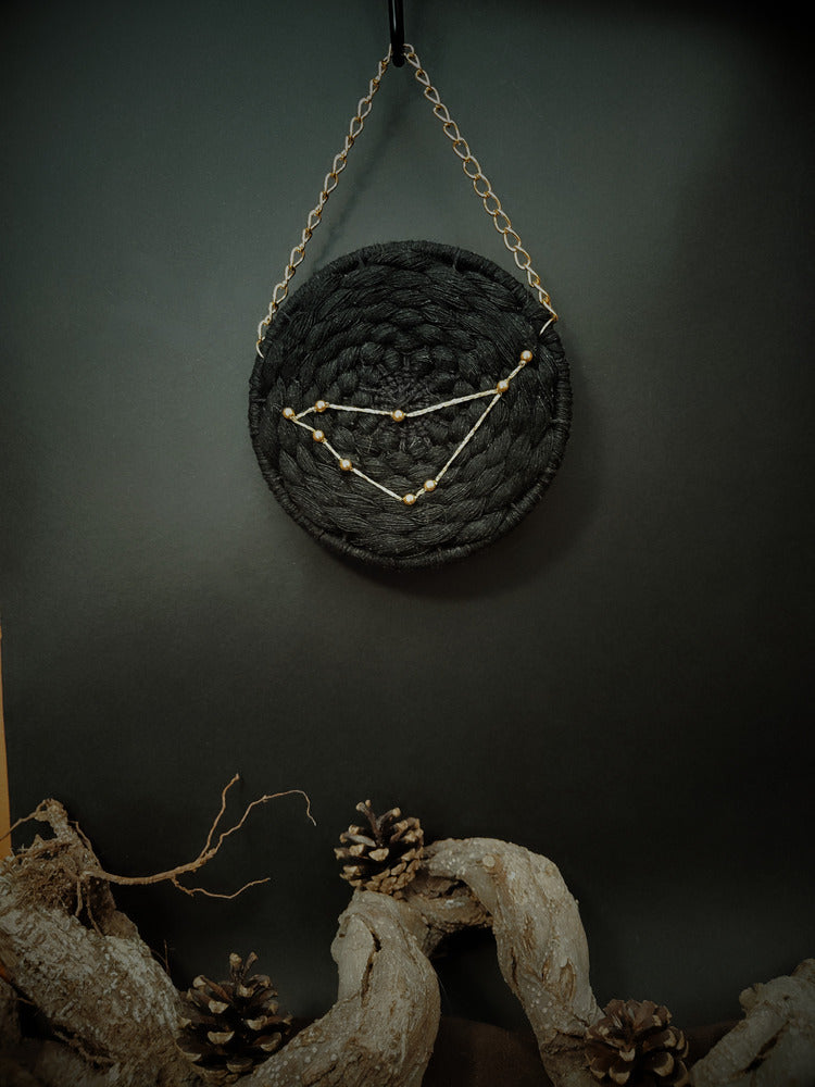 Duo Constellations du Zodiaque